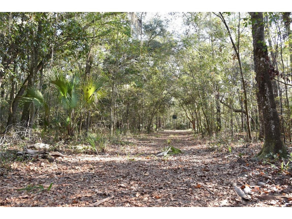 81 Clouds Ave Interlachen FL 32148 OM715398 image39