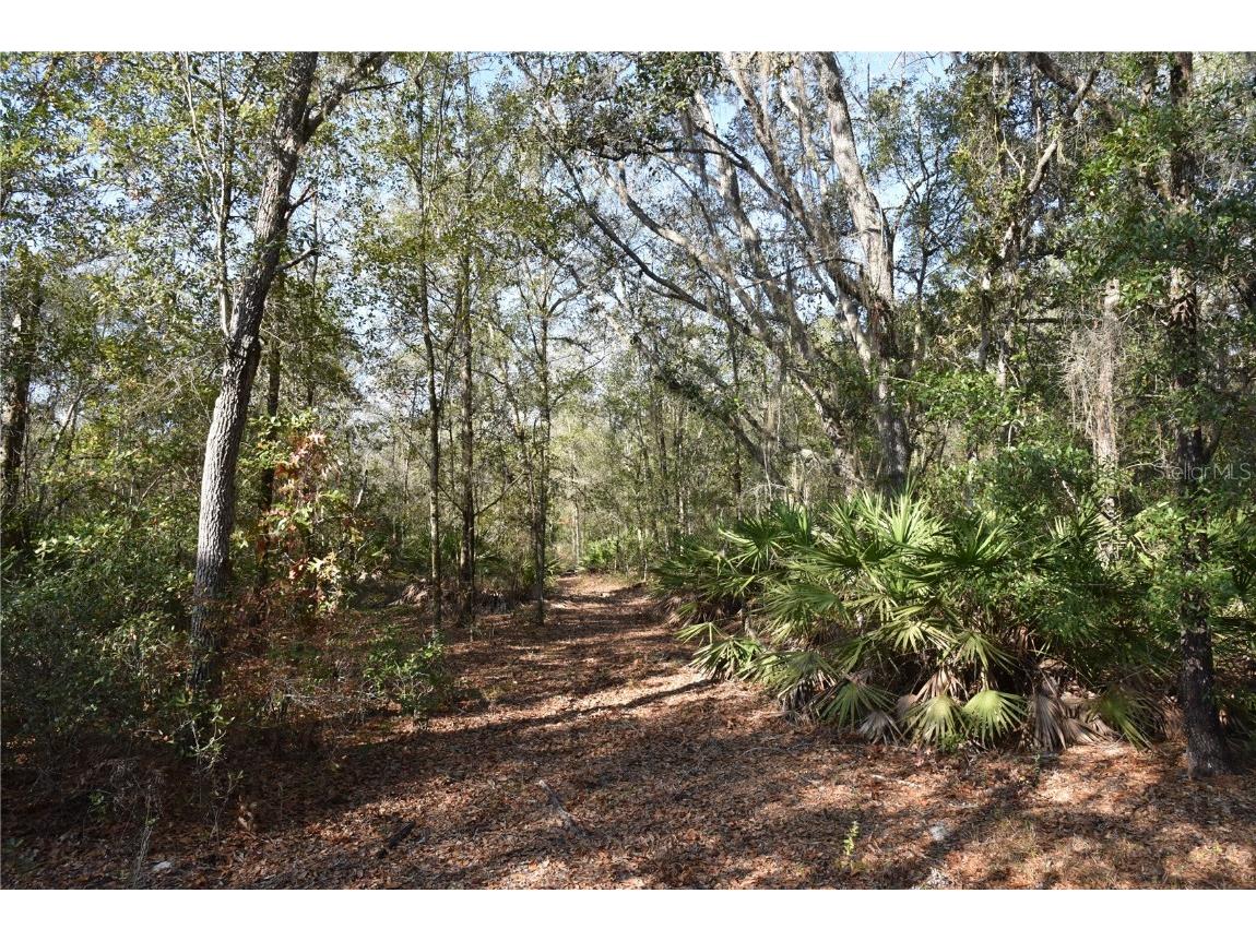 81 Clouds Ave Interlachen FL 32148 OM715398 image46