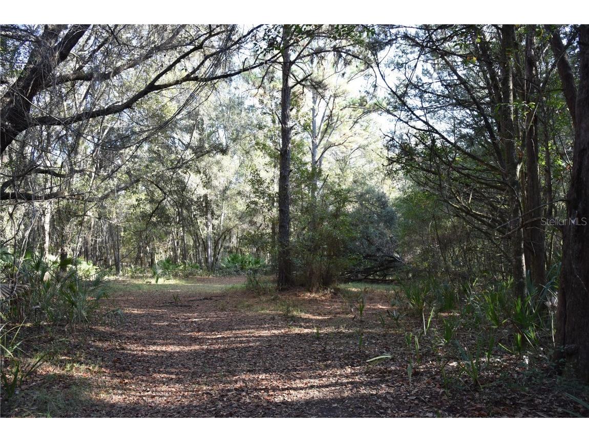 81 Clouds Ave Interlachen FL 32148 OM715398 image48