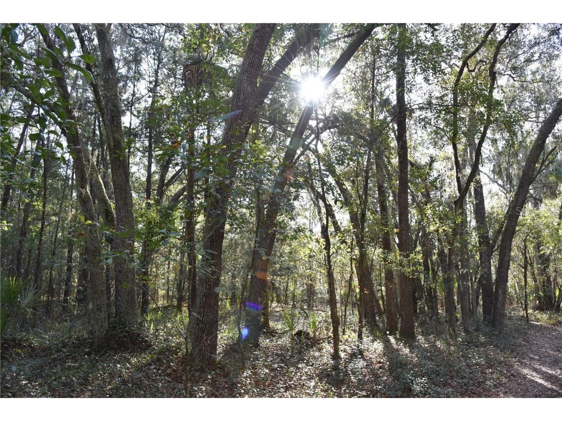 81 Clouds Ave Interlachen FL 32148 OM715398 image49