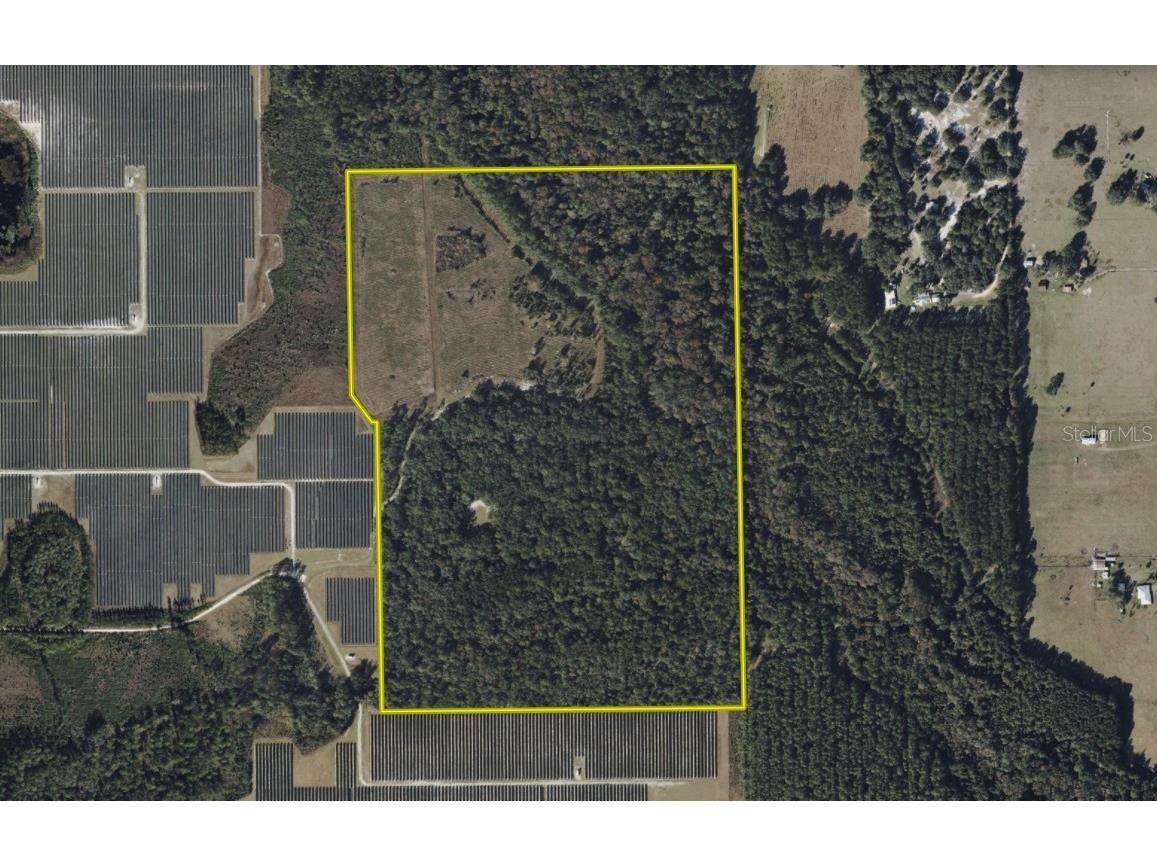 81 Clouds Ave Interlachen FL 32148 OM715398 image5