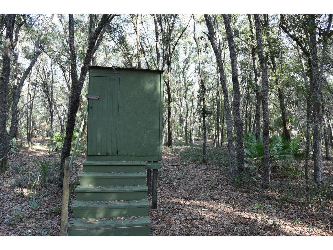 81 Clouds Ave Interlachen FL 32148 OM715398 image51