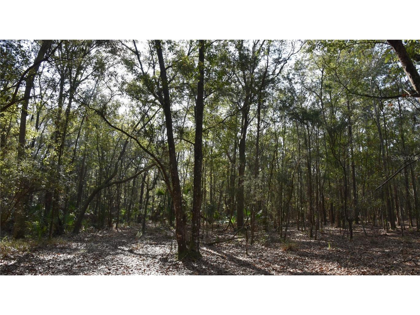 81 Clouds Ave Interlachen FL 32148 OM715398 image53