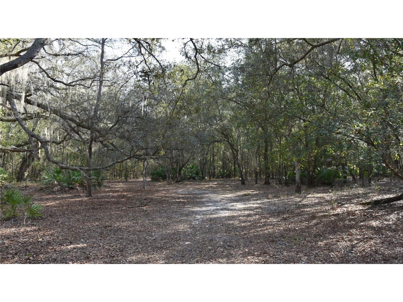 81 Clouds Ave Interlachen FL 32148 OM715398 image56