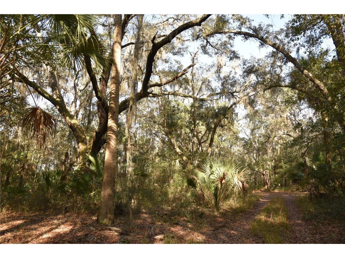 81 Clouds Ave Interlachen FL 32148 OM715398 image6