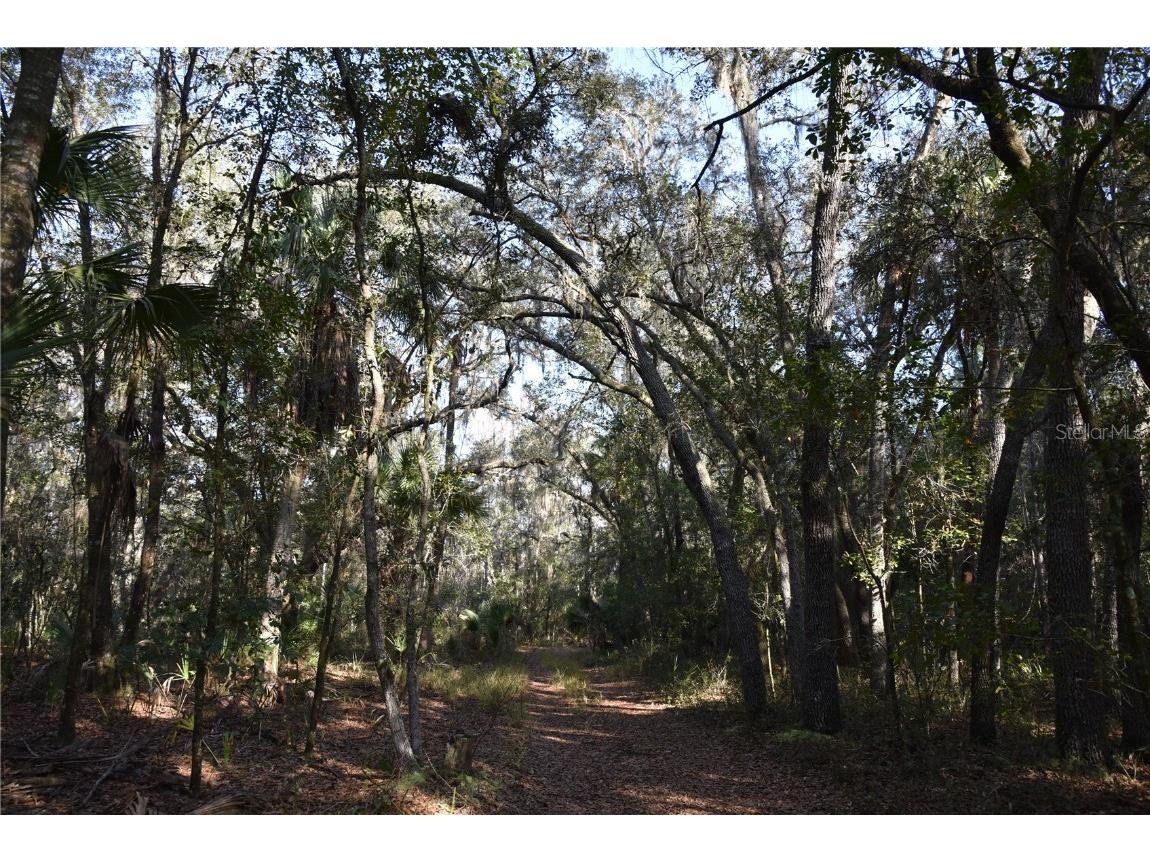 81 Clouds Ave Interlachen FL 32148 OM715398 image7