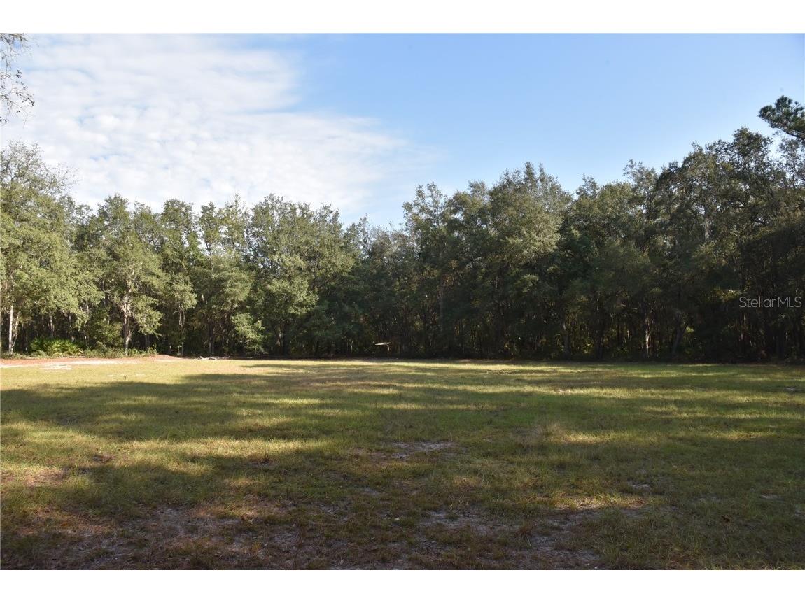 81 Clouds Ave Interlachen FL 32148 OM715398 image8