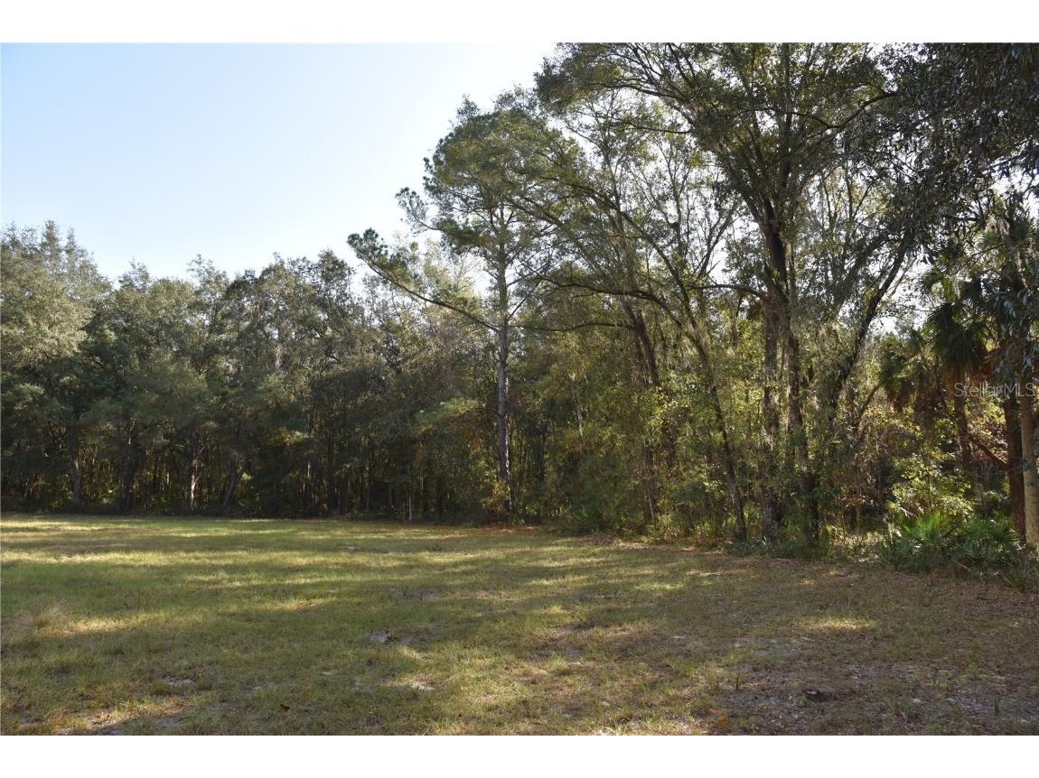 81 Clouds Ave Interlachen FL 32148 OM715398 image9