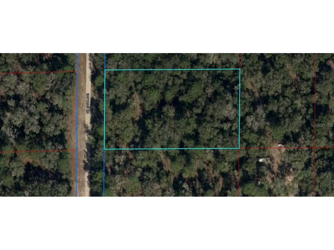 81 Ne 100 Avenue Bronson FL 32621 O6244226 image1