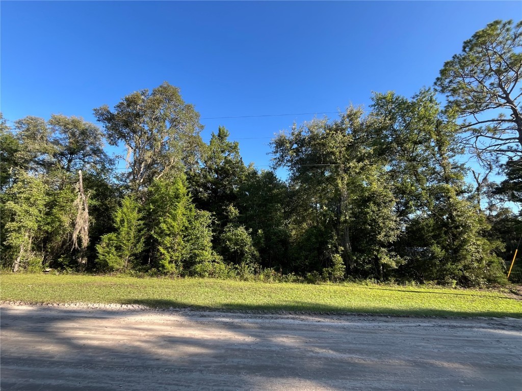 81st Street NE Bronson FL 32621 GC532426 image1