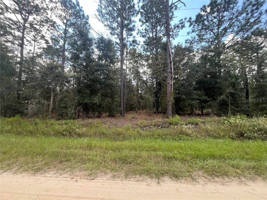 82nd Lane Dunnellon FL 34432 OK224511 image1