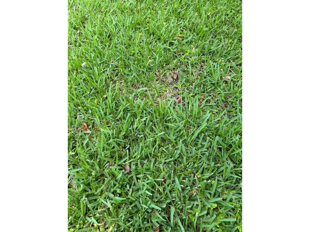 82nd Lane E Parrish FL 34219 A4574169 image1