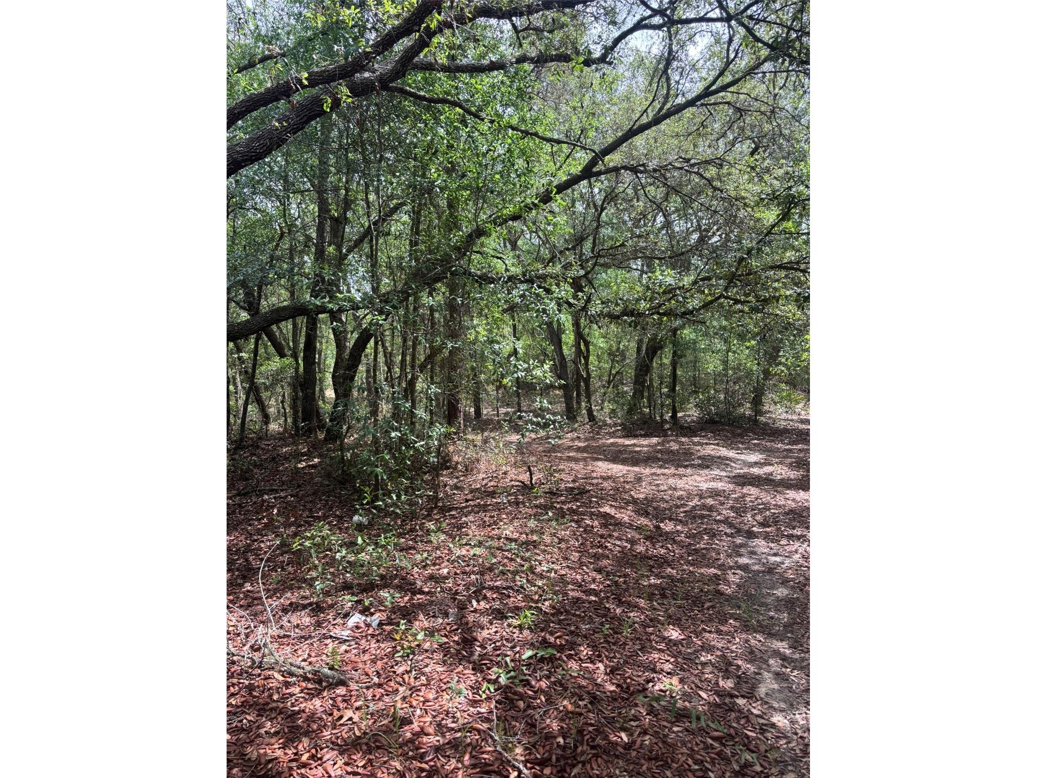 83rd Lane Bronson FL 32621 GC540764 image1