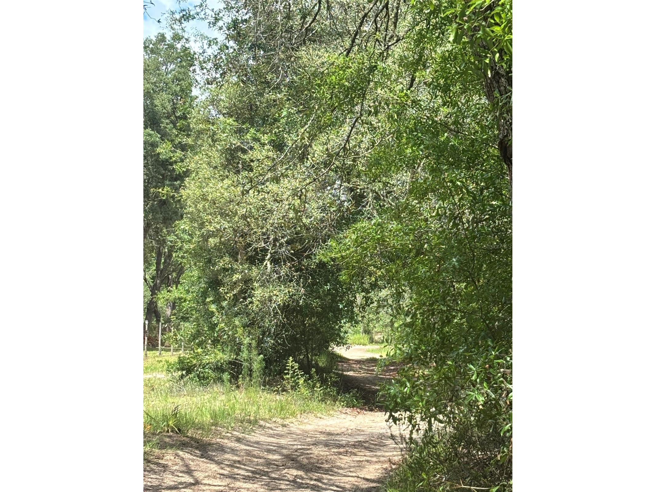 83rd Lane Bronson FL 32621 GC540764 image4