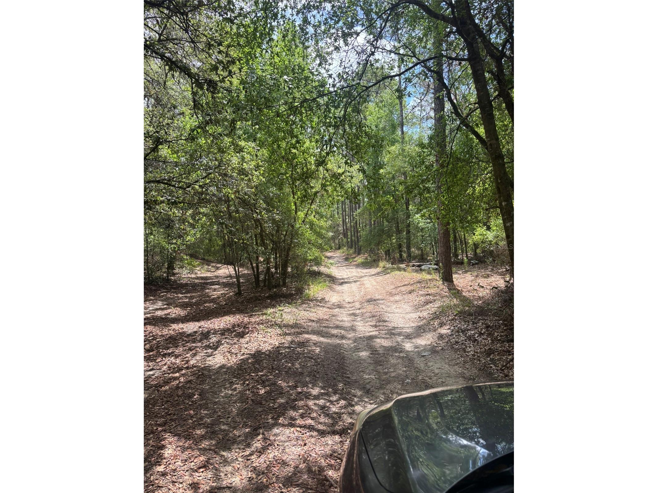 83rd Lane Bronson FL 32621 GC540764 image5
