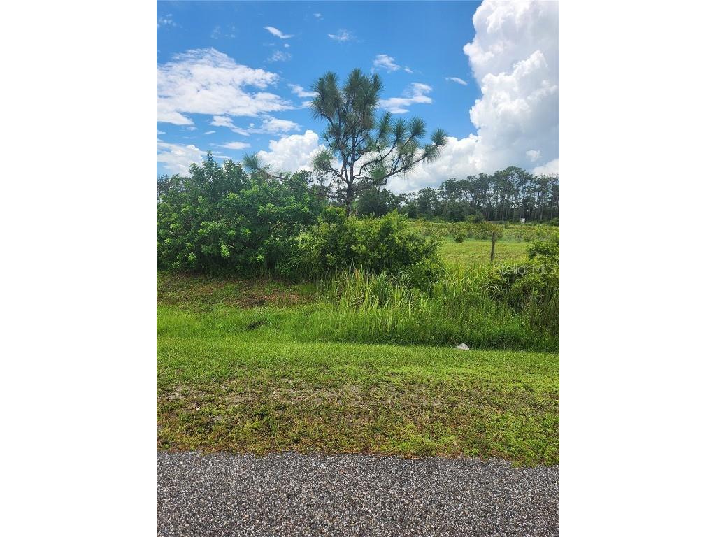 84th Avenue E Myakka City FL 34251 A4660703 image1