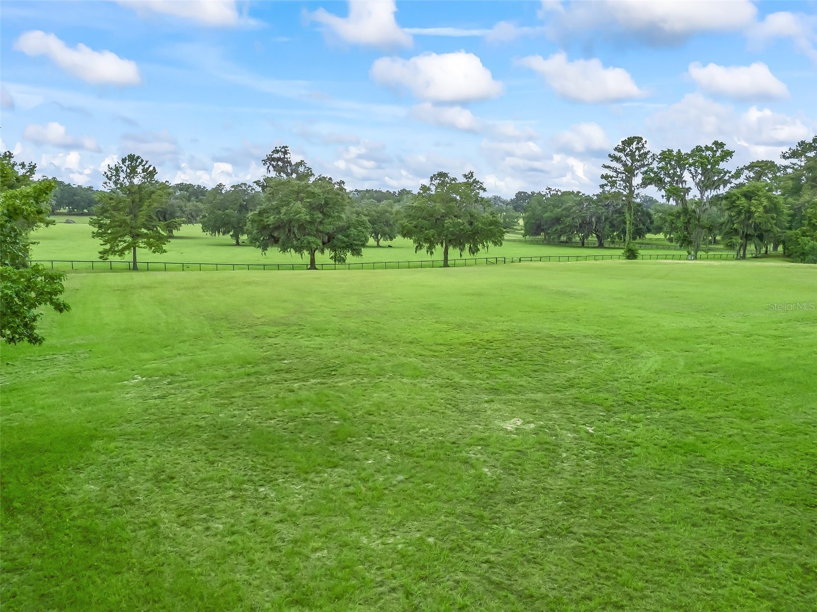 4698 NW 84th Terrace NW Ocala FL 34482 OM703093 image11