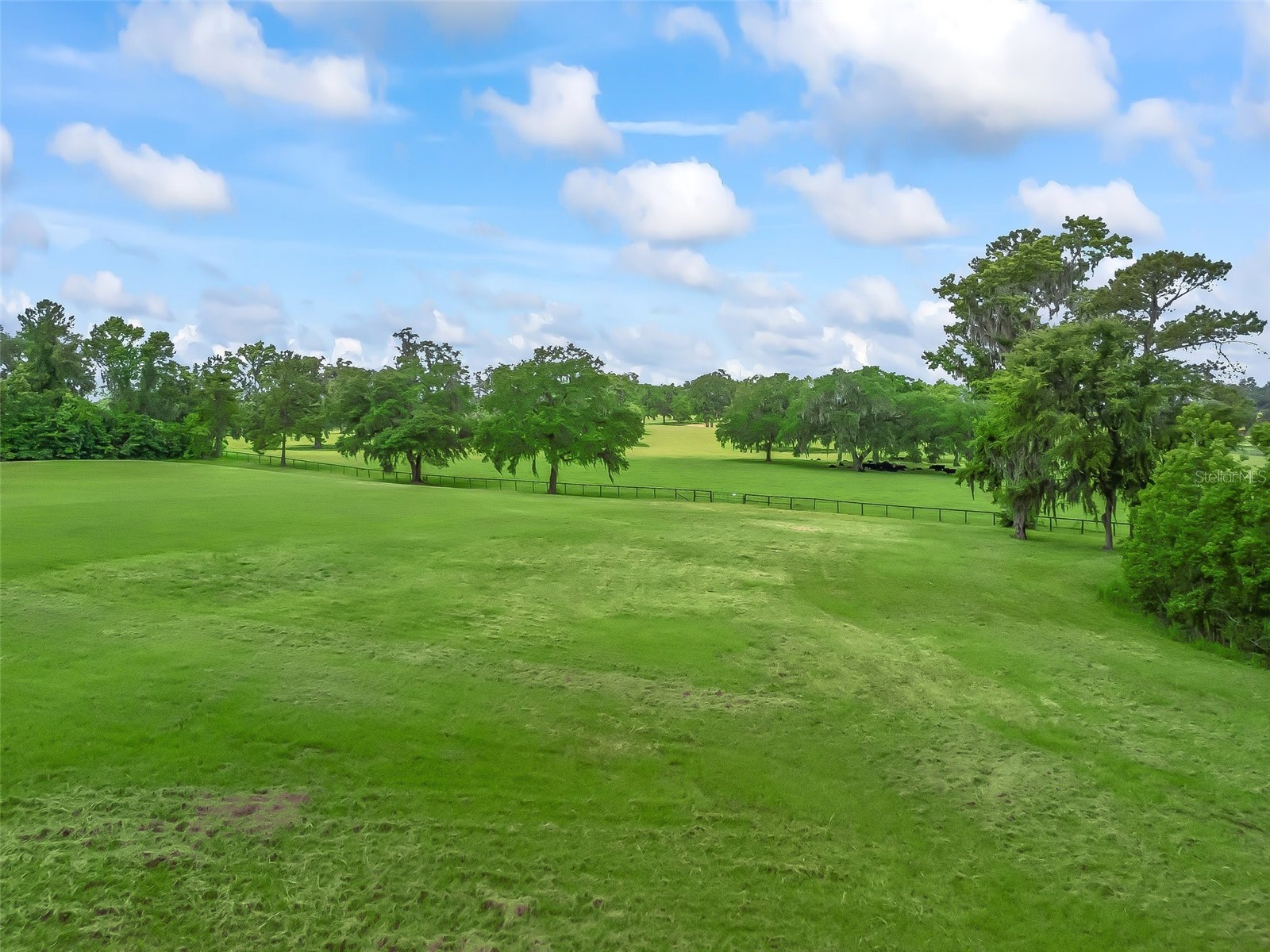 4698 NW 84th Terrace NW Ocala FL 34482 OM703093 image9