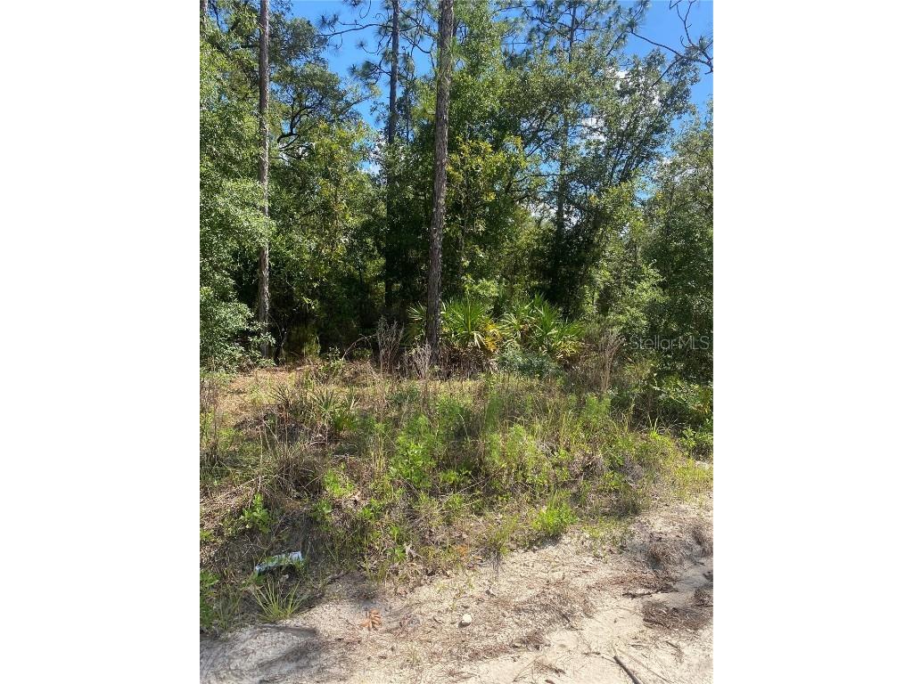 88th Lane Bronson FL 32621 T3534886 image1