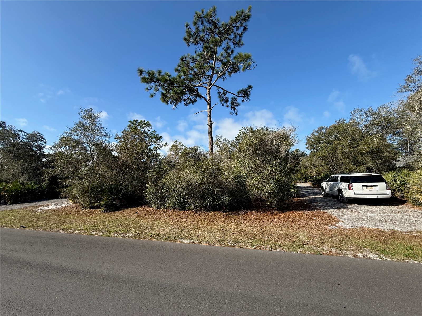8th Avenue Deland FL 32724 O6374979 image1