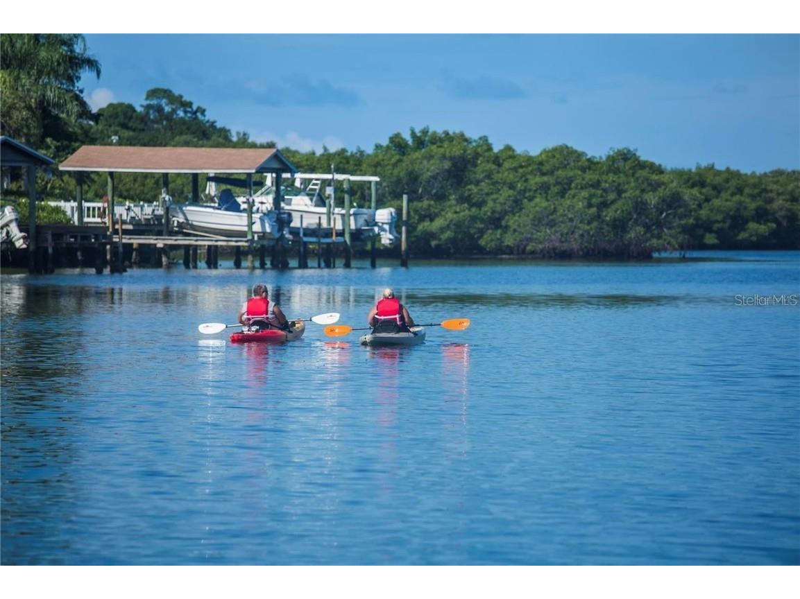 8th / Soundview Street Palm Harbor FL 34683 TB8418960 image12