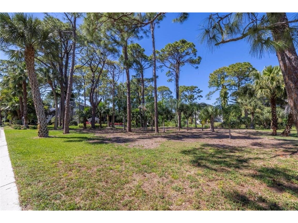 8th / Soundview Street Palm Harbor FL 34683 TB8418960 image6
