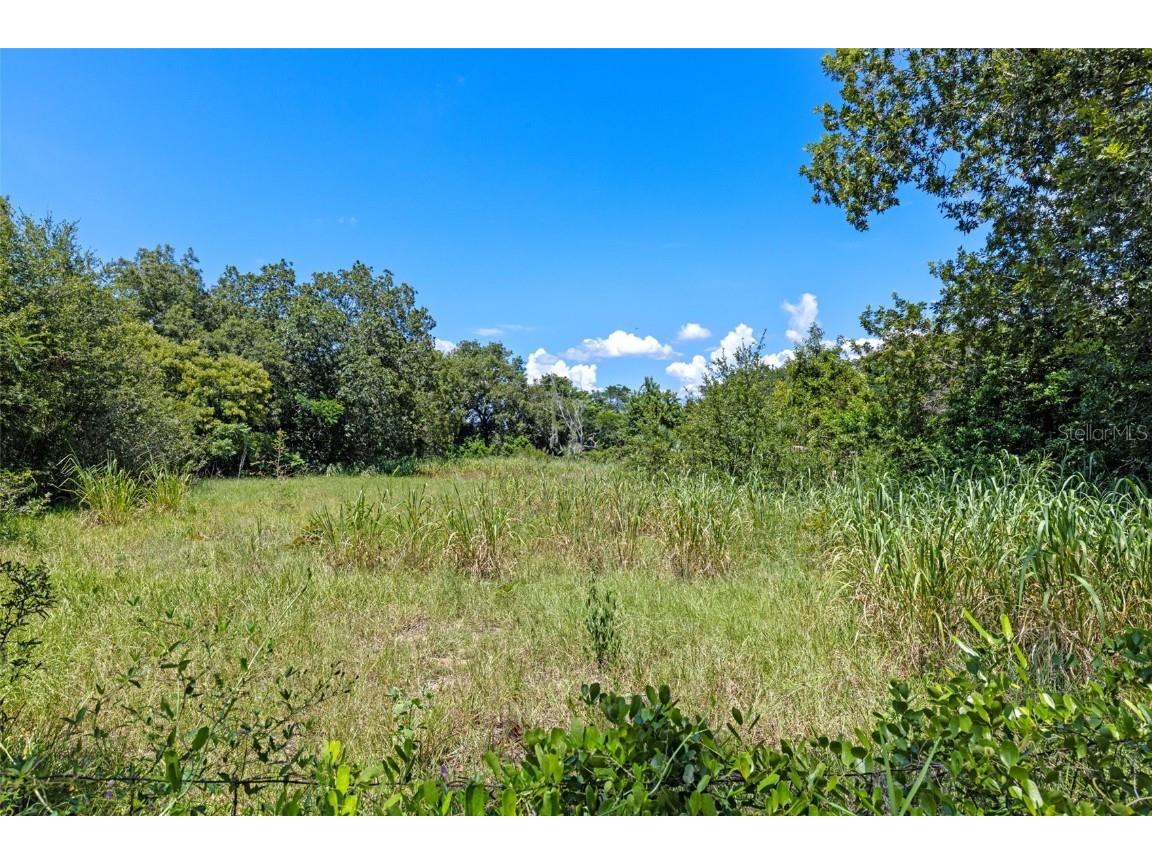 8th Street Montverde FL 34756 G5101053 image4