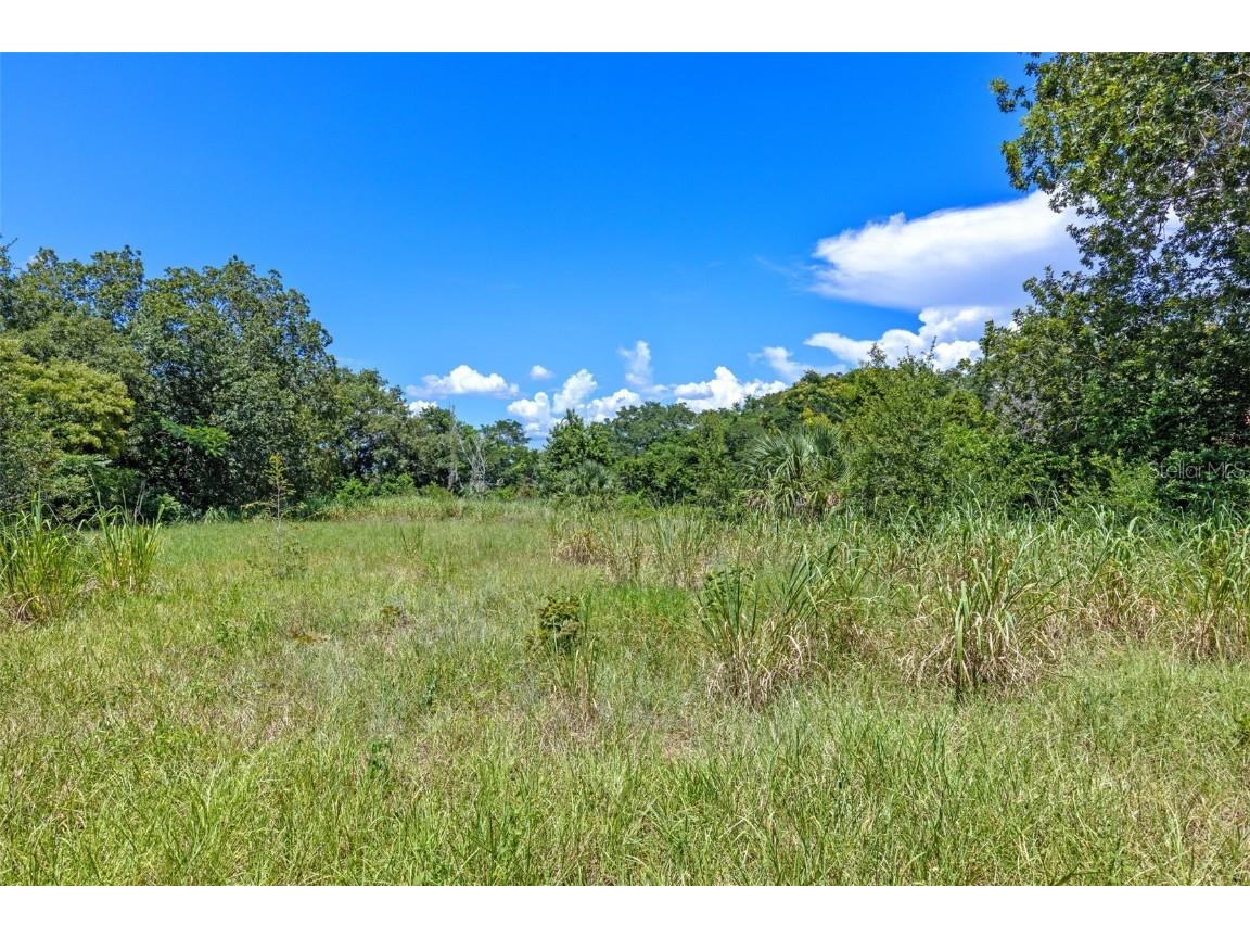 8th Street Montverde FL 34756 G5101053 image5