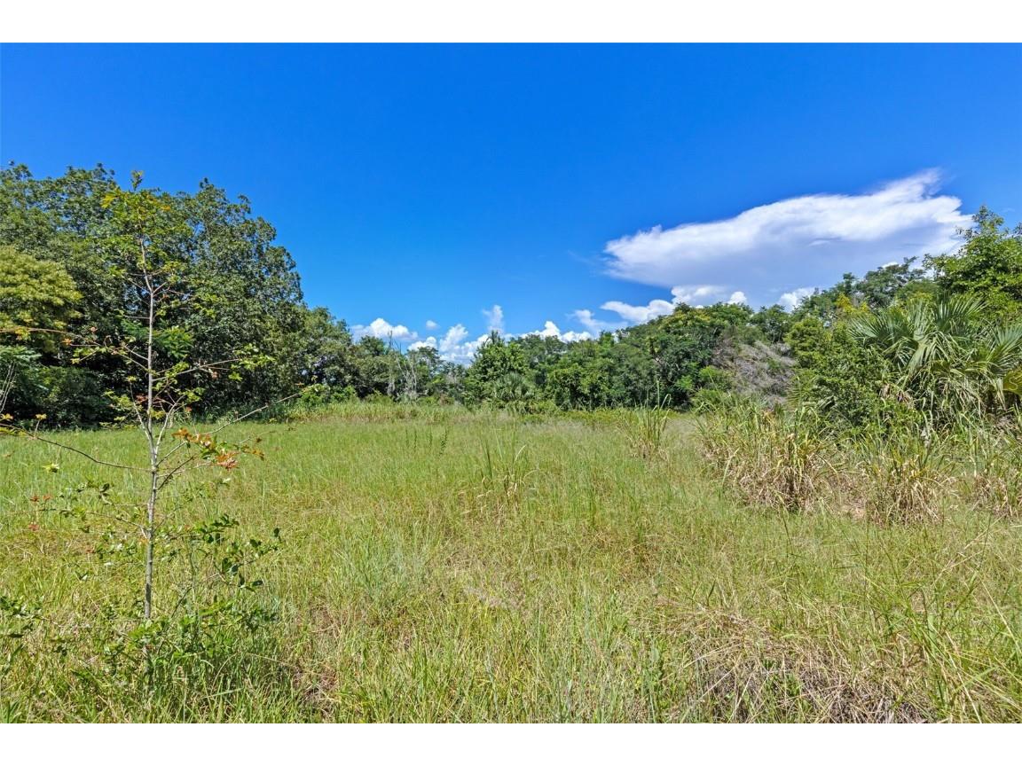 8th Street Montverde FL 34756 G5101053 image6