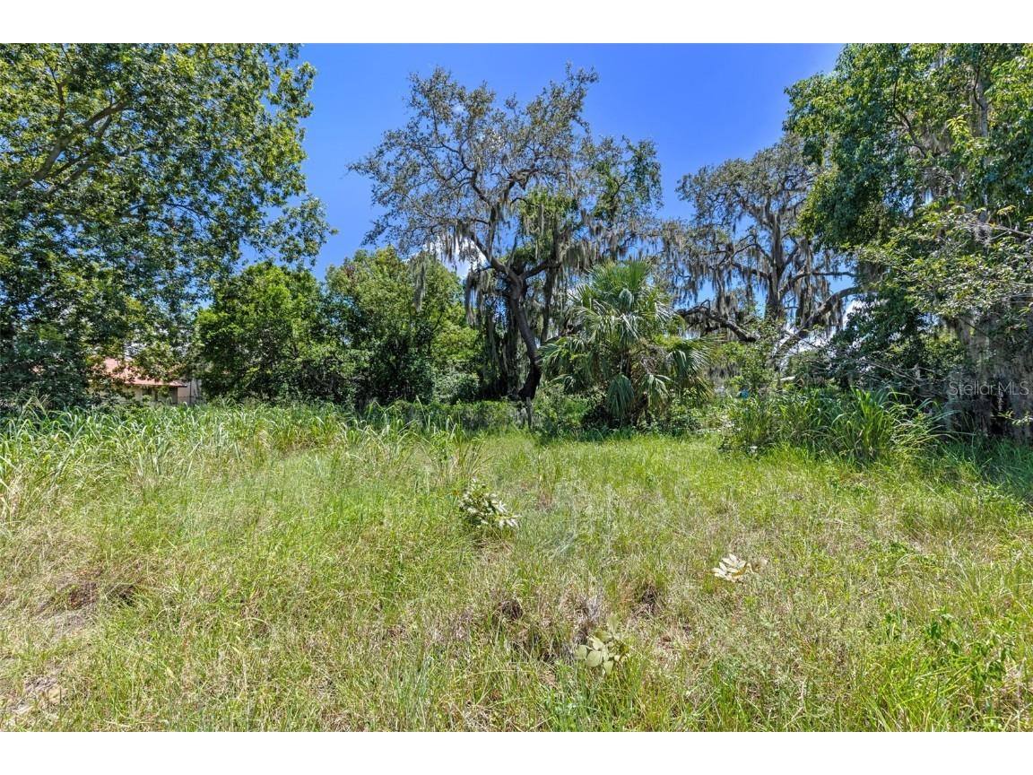 8th Street Montverde FL 34756 G5101053 image7