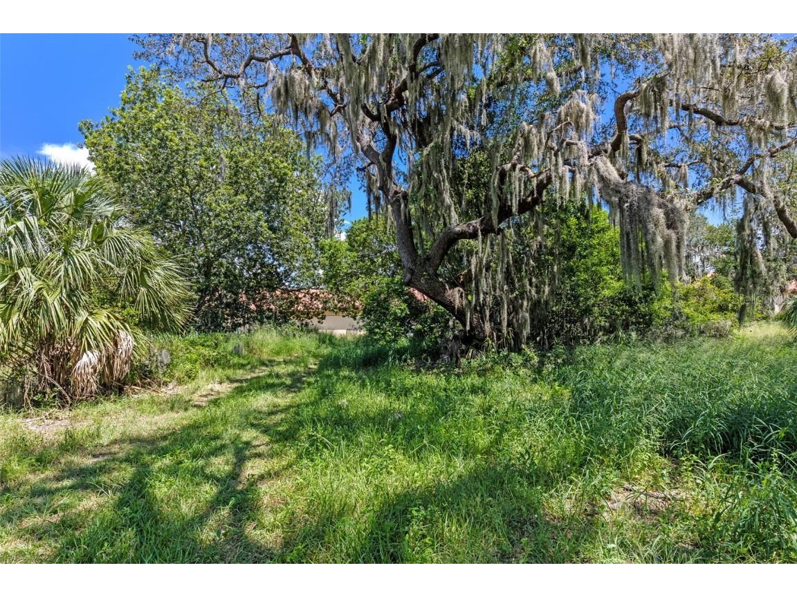 8th Street Montverde FL 34756 G5101053 image8