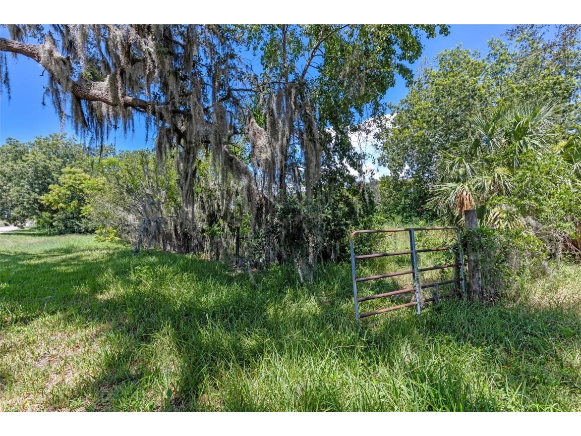 8th Street Montverde FL 34756 G5101053 image9