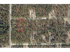 91 St Ln Dunnellon FL 34432 OM669831 image1