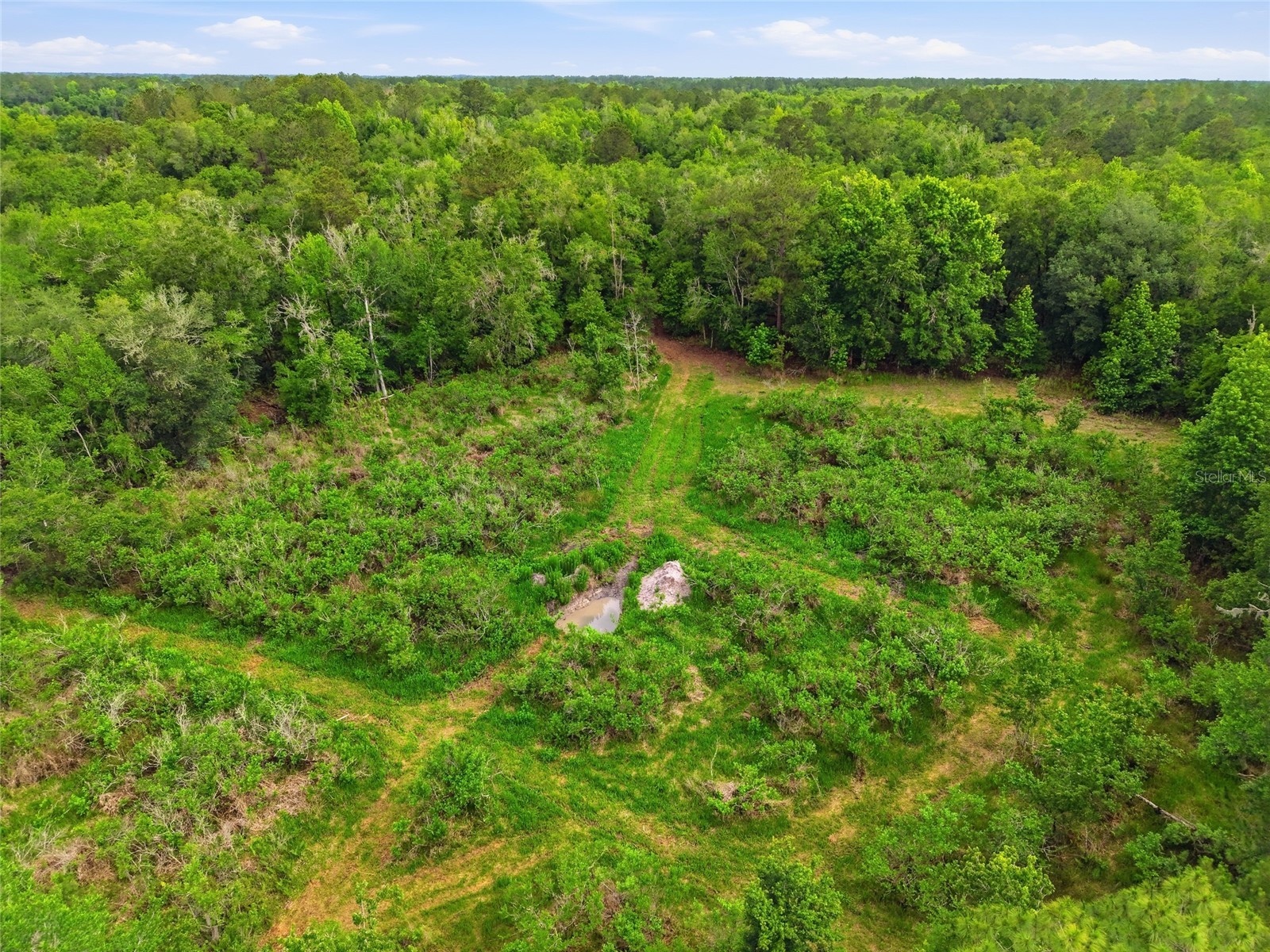 91st Street Alachua FL 32615 GC540233 image11