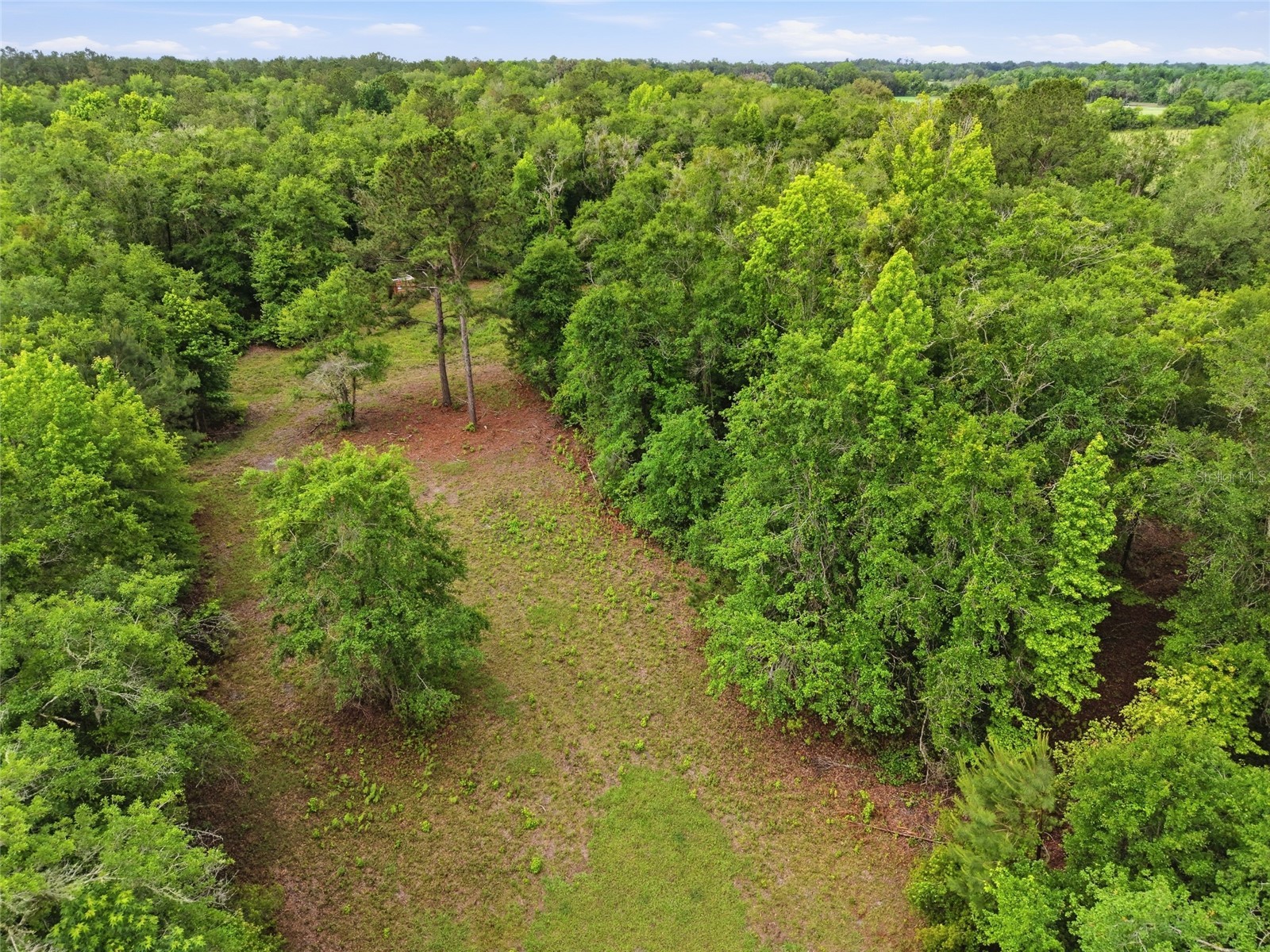 91st Street Alachua FL 32615 GC540233 image13