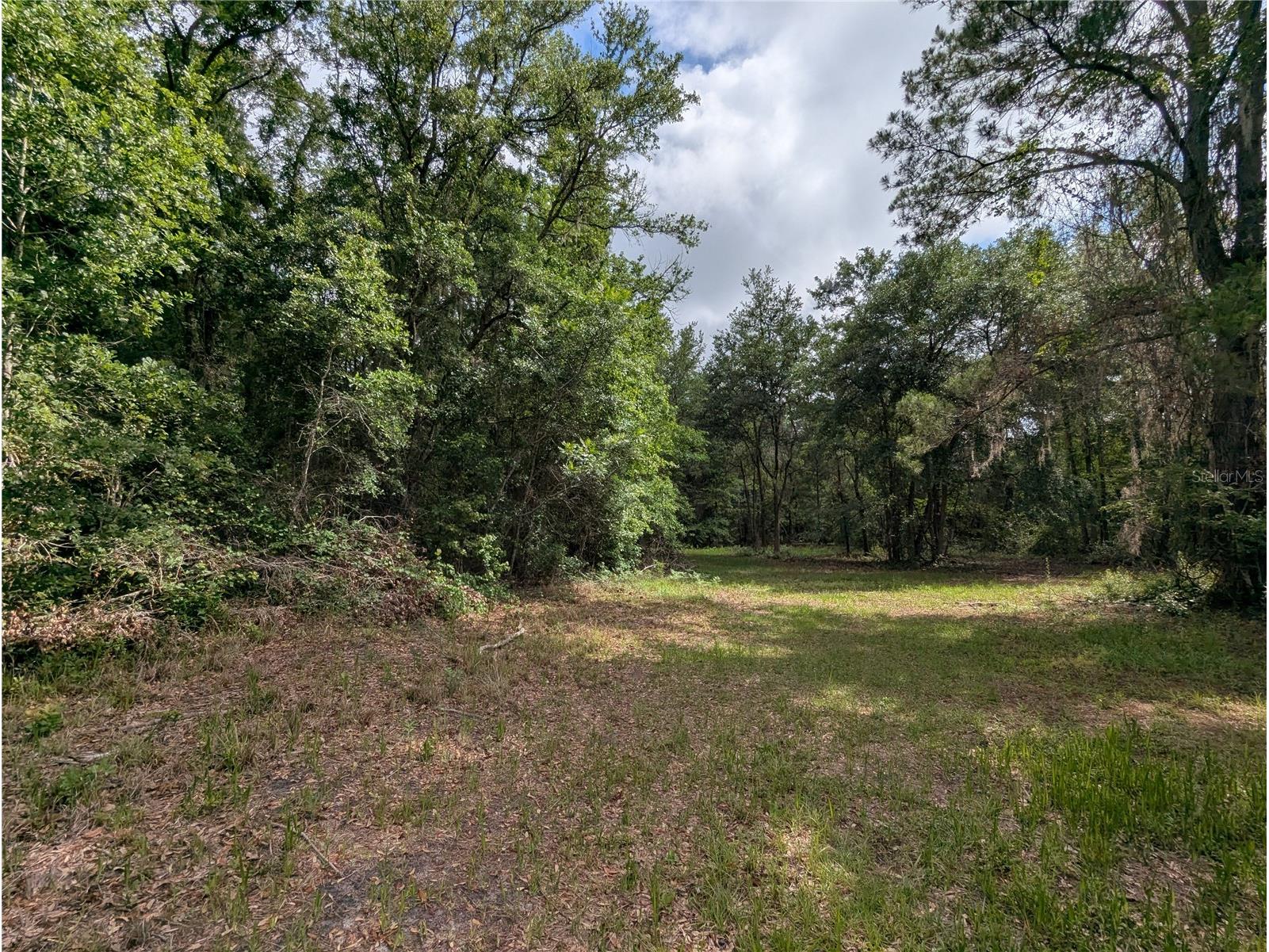 91st Street Alachua FL 32615 GC540233 image18