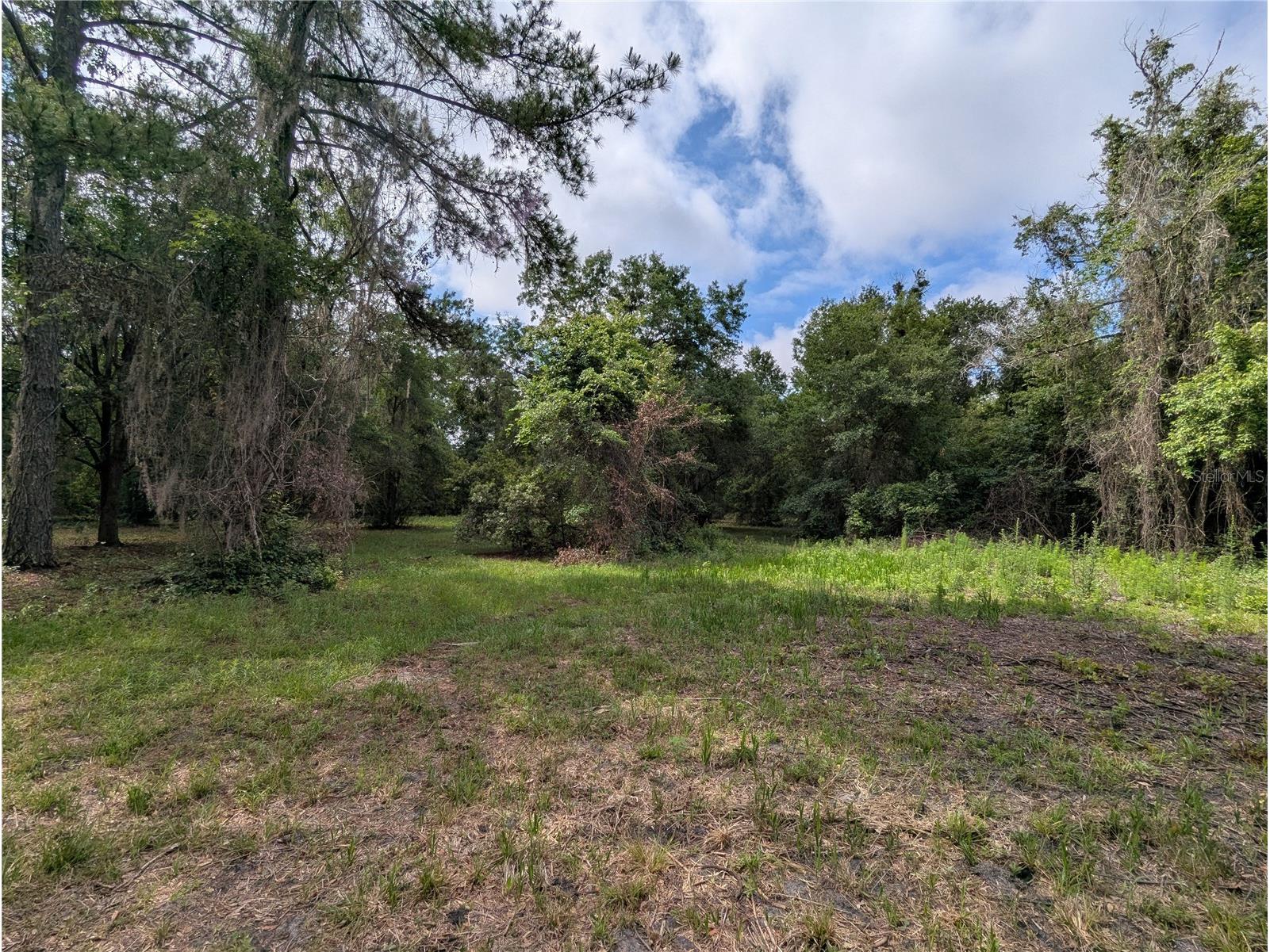 91st Street Alachua FL 32615 GC540233 image19