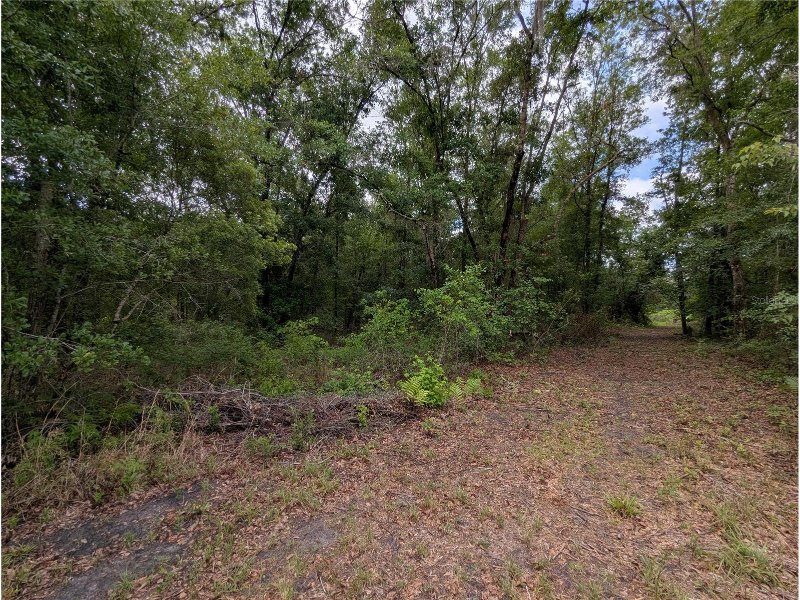 91st Street Alachua FL 32615 GC540233 image21