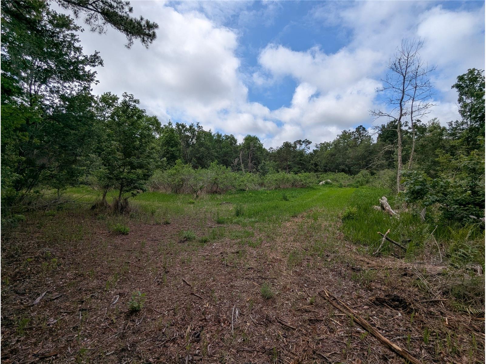 91st Street Alachua FL 32615 GC540233 image22
