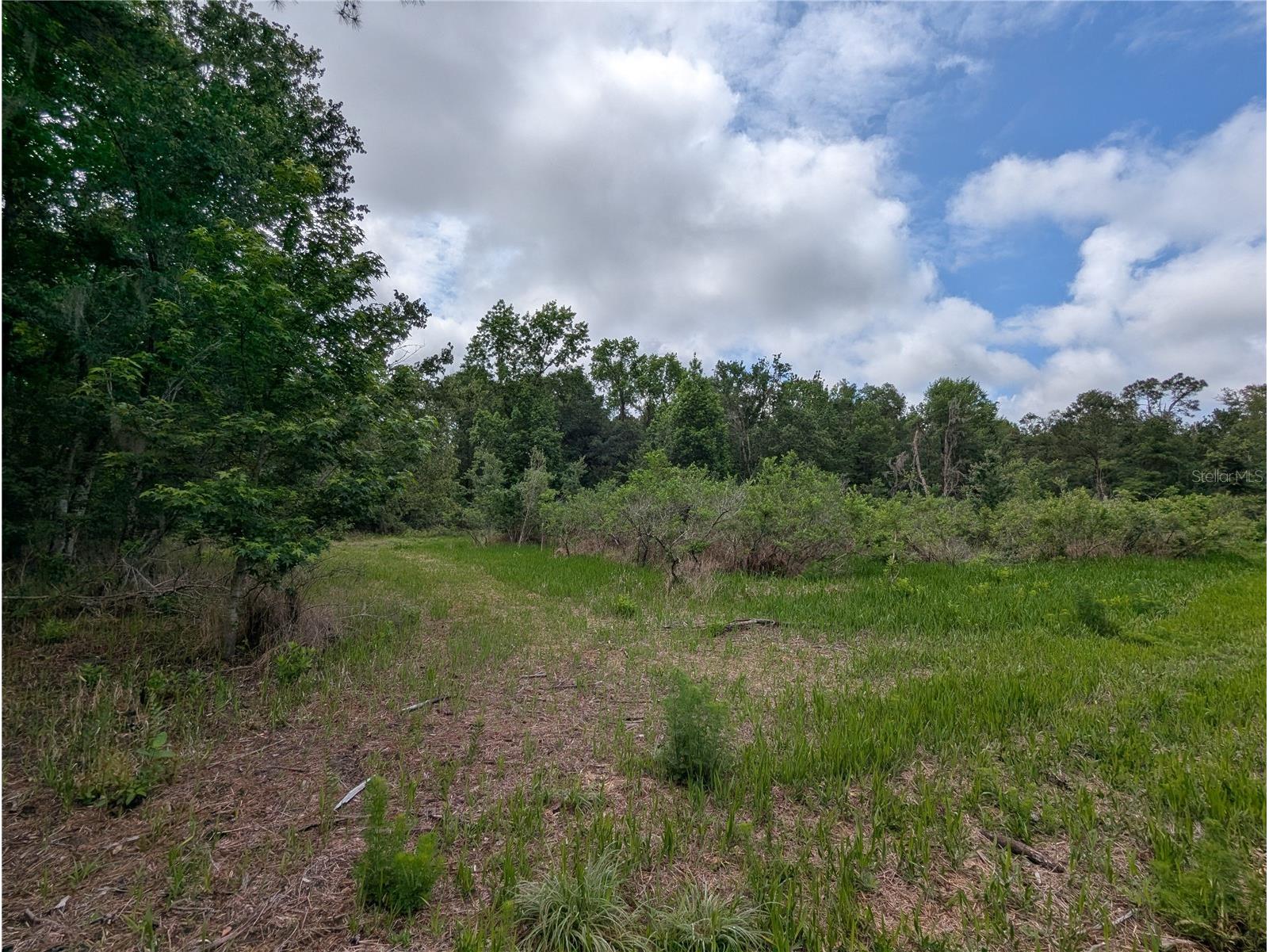 91st Street Alachua FL 32615 GC540233 image23