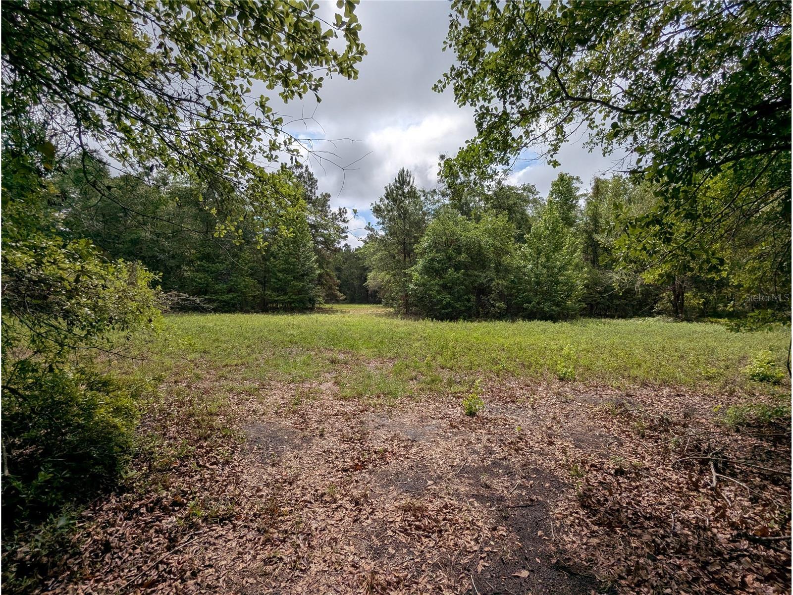 91st Street Alachua FL 32615 GC540233 image24