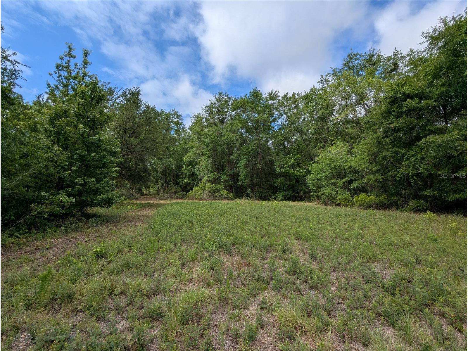 91st Street Alachua FL 32615 GC540233 image25