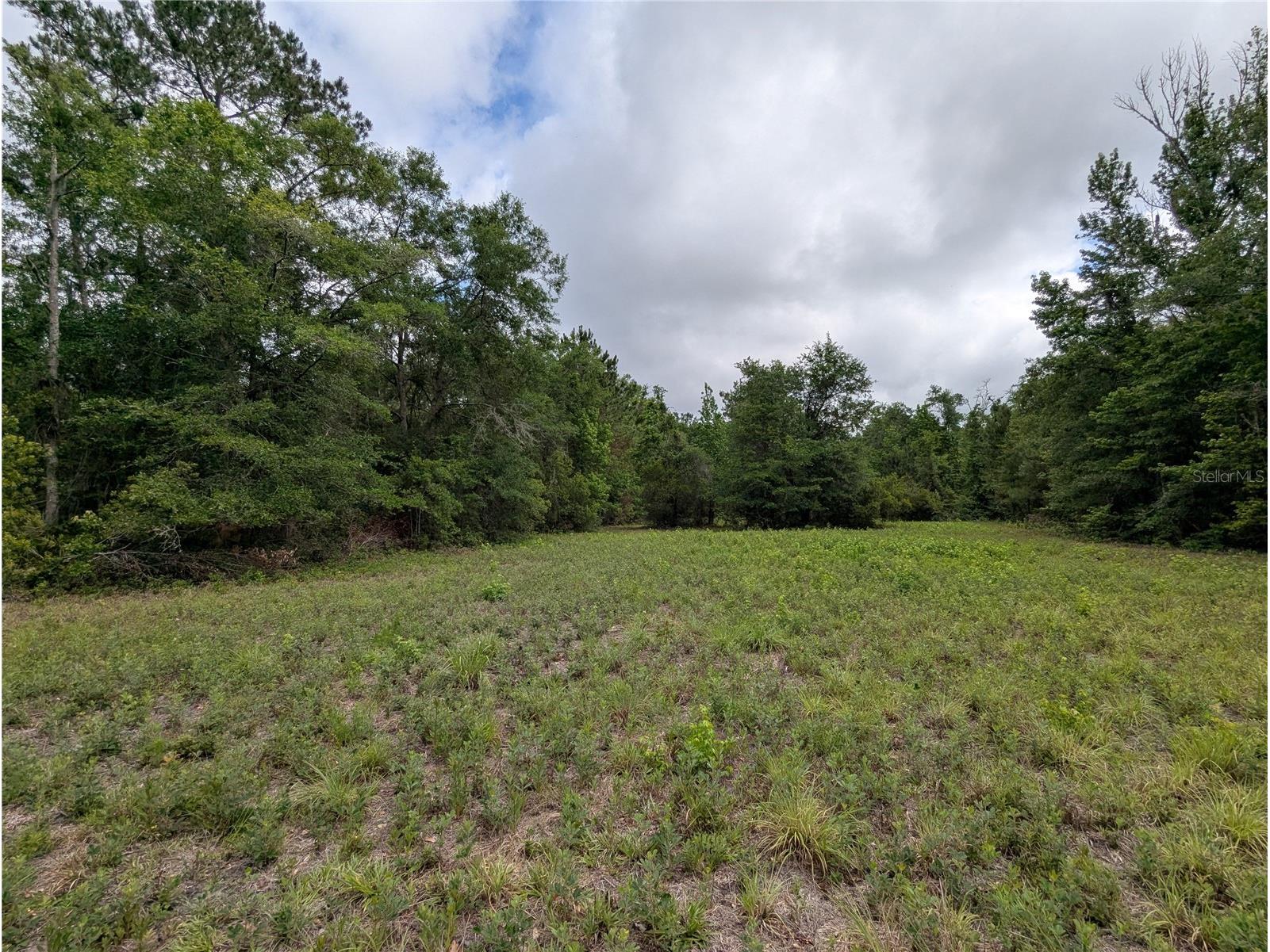 91st Street Alachua FL 32615 GC540233 image26