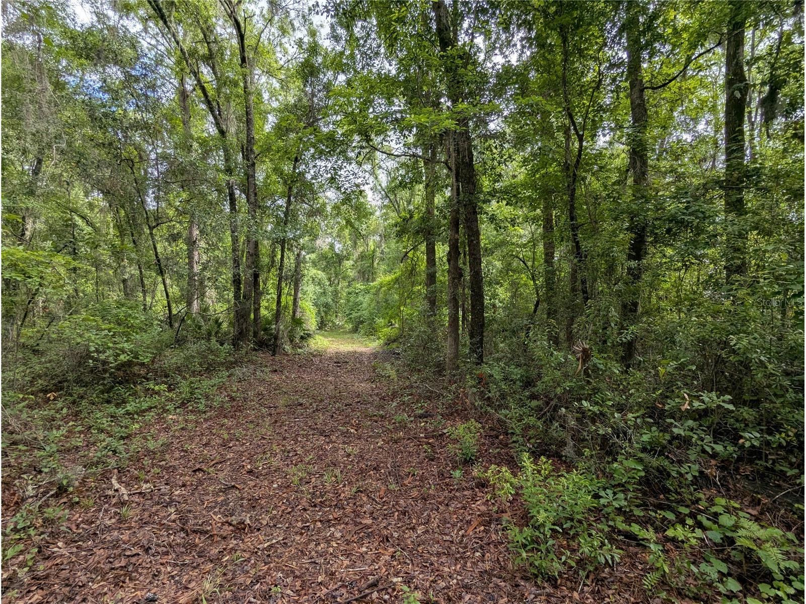 91st Street Alachua FL 32615 GC540233 image29
