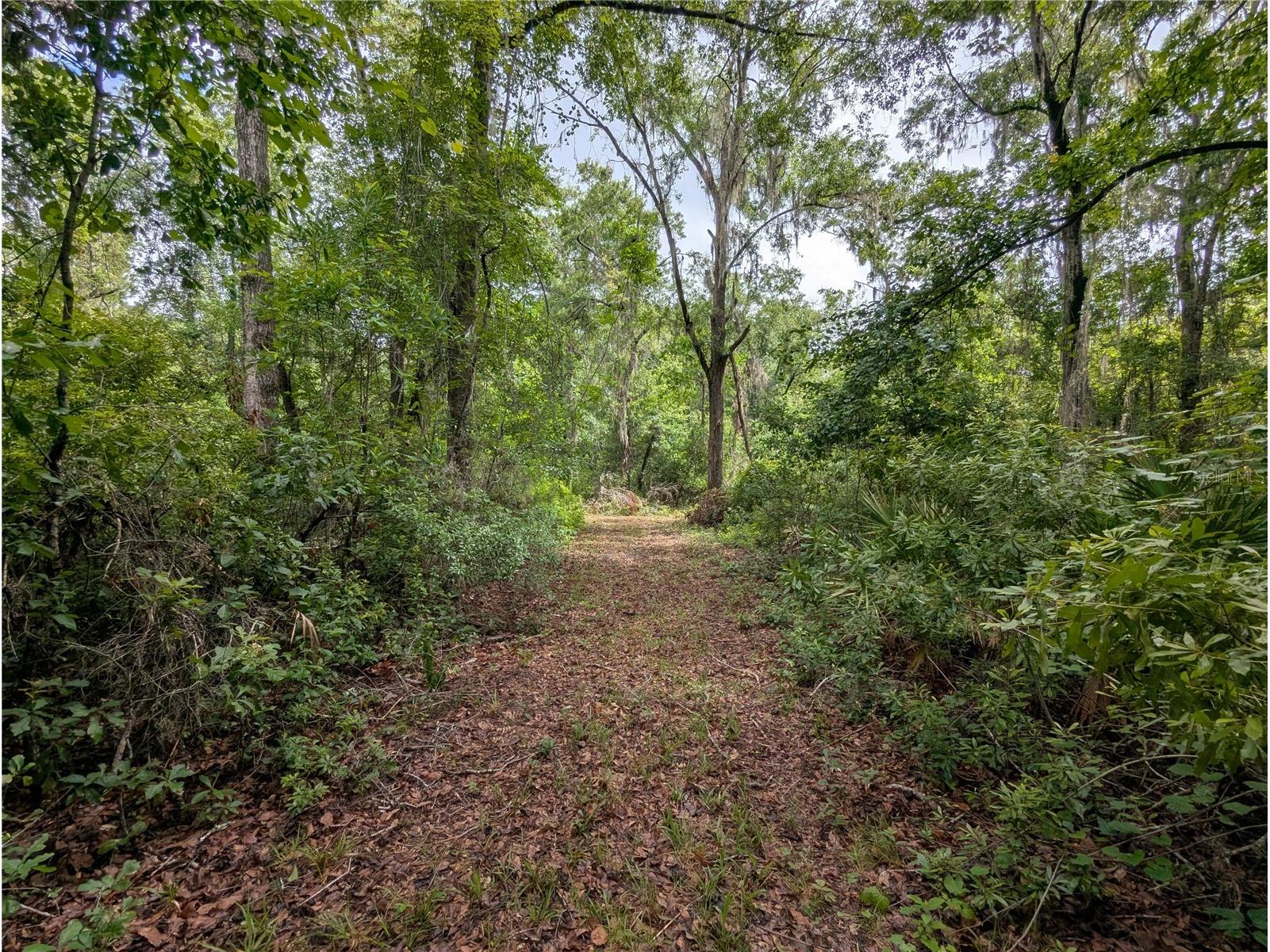 91st Street Alachua FL 32615 GC540233 image30