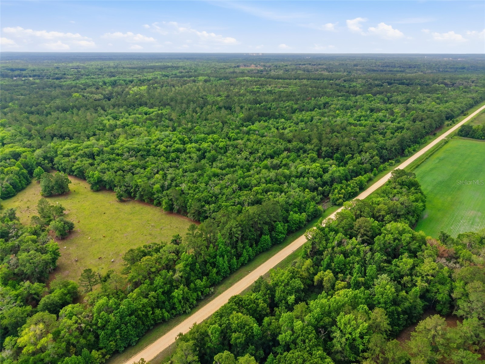 91st Street Alachua FL 32615 GC540233 image5