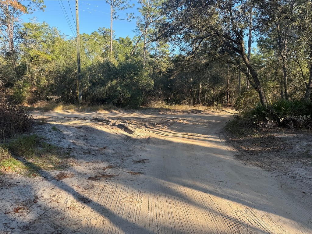 92nd Street Ocklawaha FL 32179 OM713763 image3