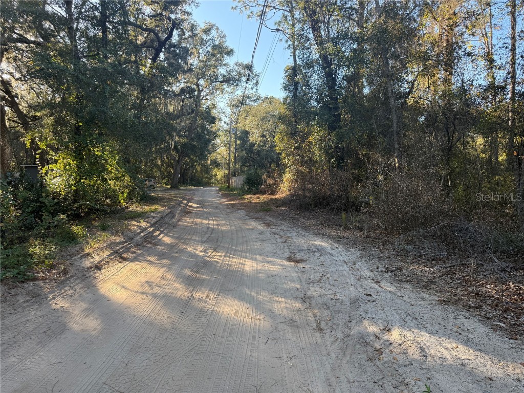 92nd Street Ocklawaha FL 32179 OM713763 image5