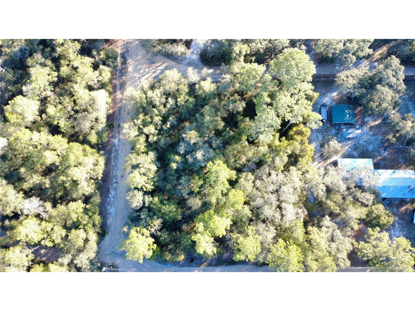 92nd Street Ocklawaha FL 32179 OM713763 image6