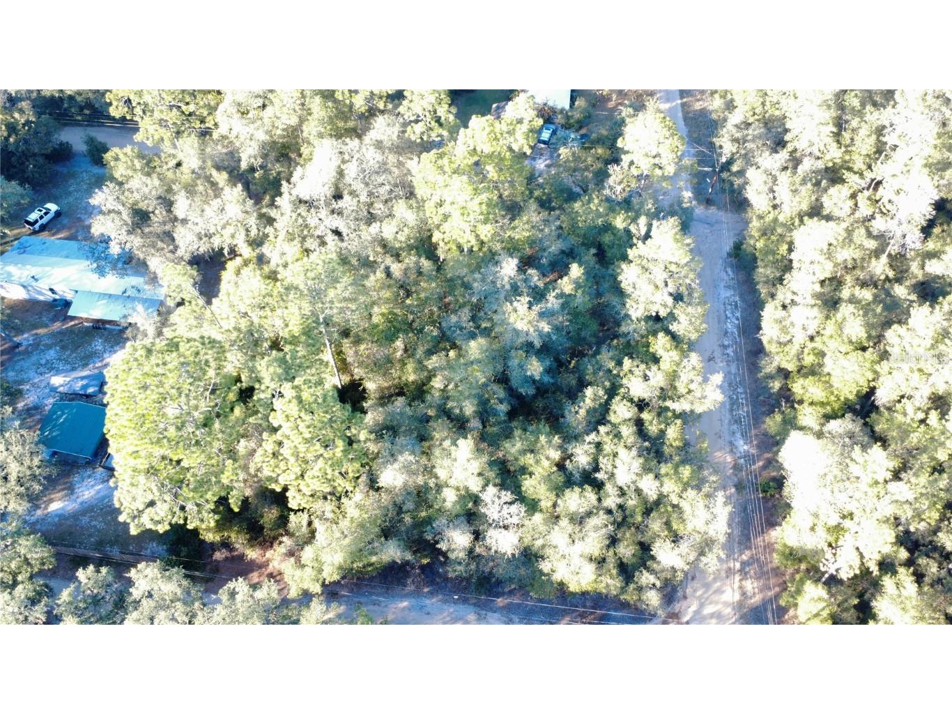 92nd Street Ocklawaha FL 32179 OM713763 image7